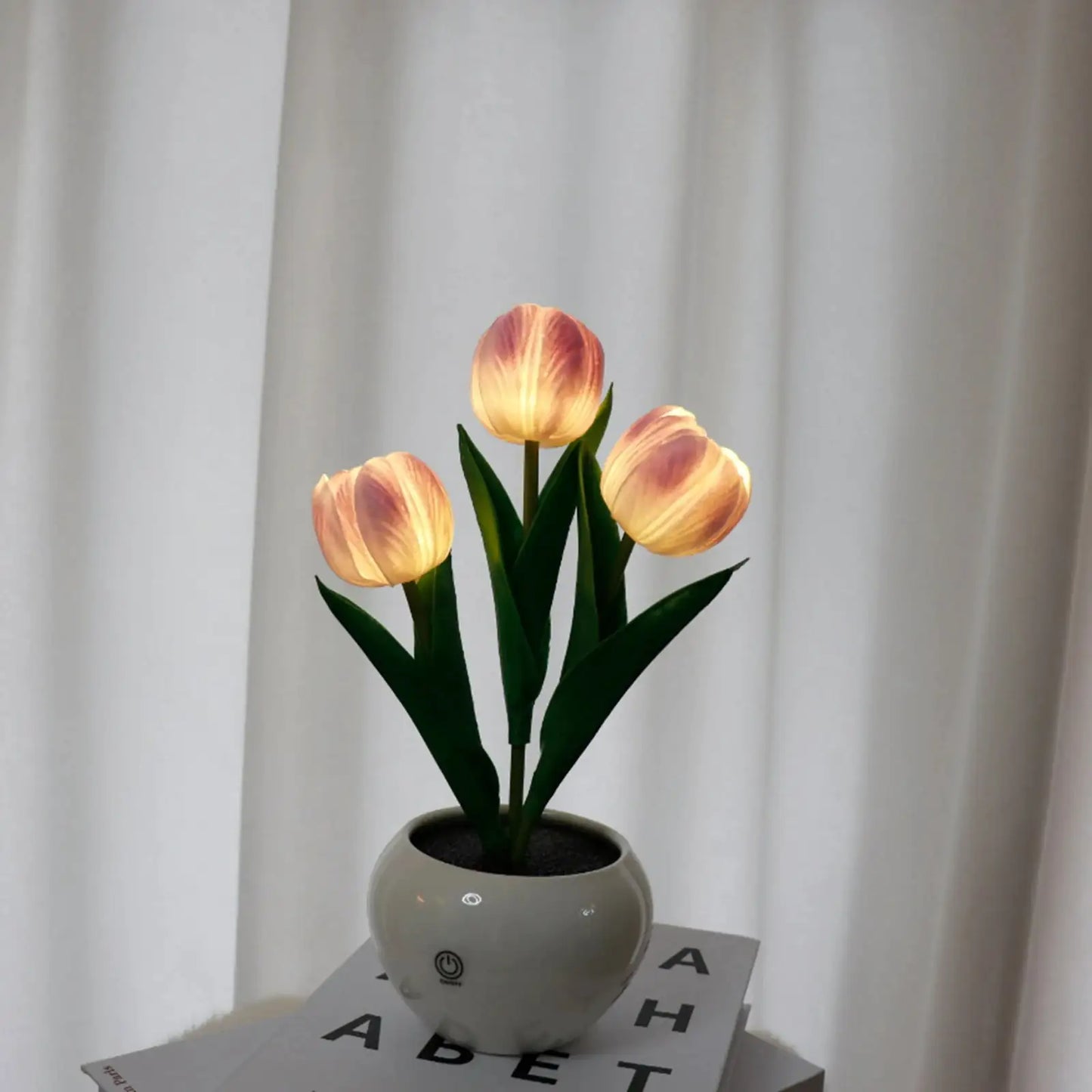 Sendero de Tulipanes